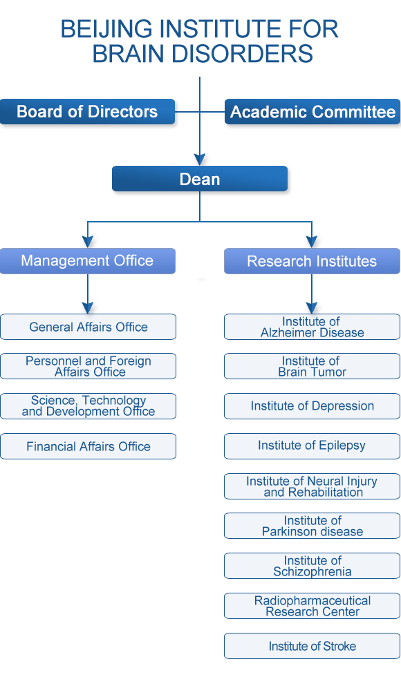 Organization