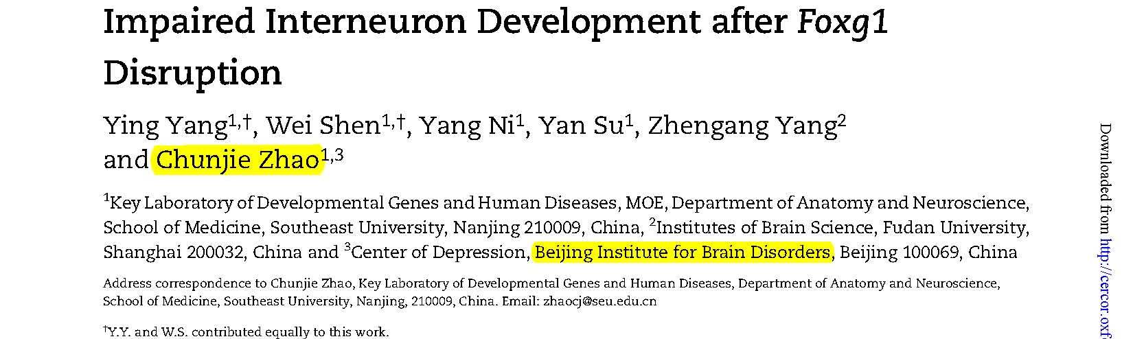 Zhao CJ and et al.	Impaired Interneuron Development after Foxg1 Disruption.
