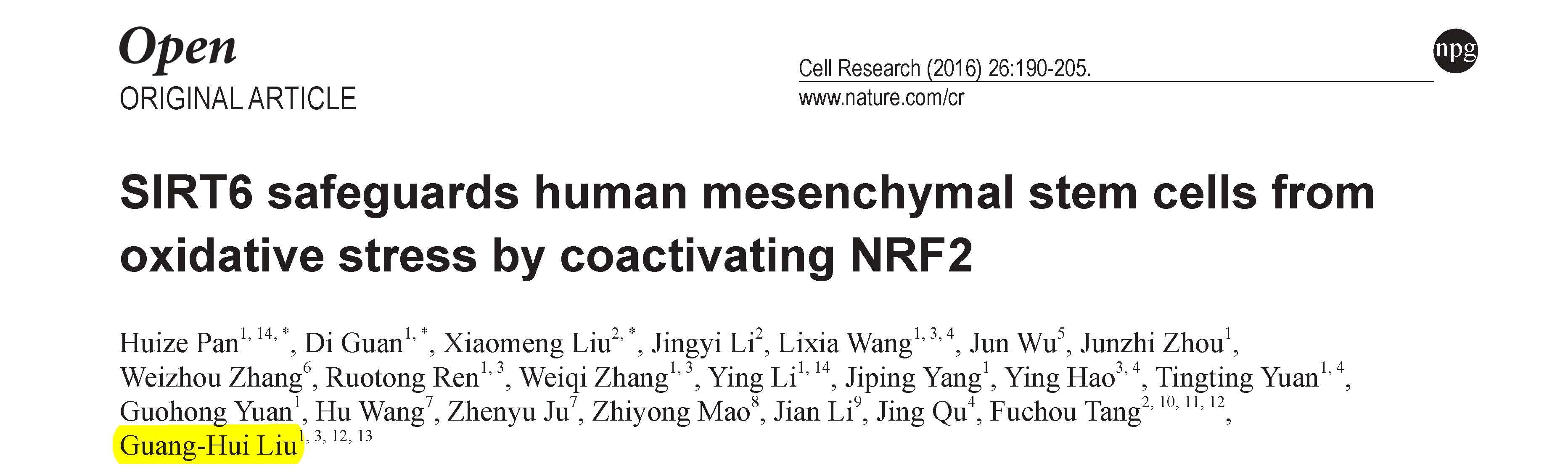 Liu GH and et al.	SIRT6 safeguards human mesenchymal stem cells from oxidative stress by coactivating NRF2.
