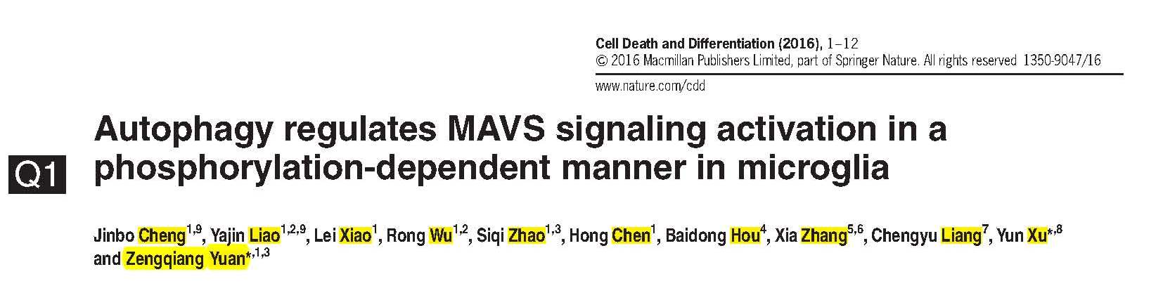 Yuan ZQ and et al.	Autophagy regulates MAVS signaling activation in a phosphorylation-dependent manner in microglia.	
