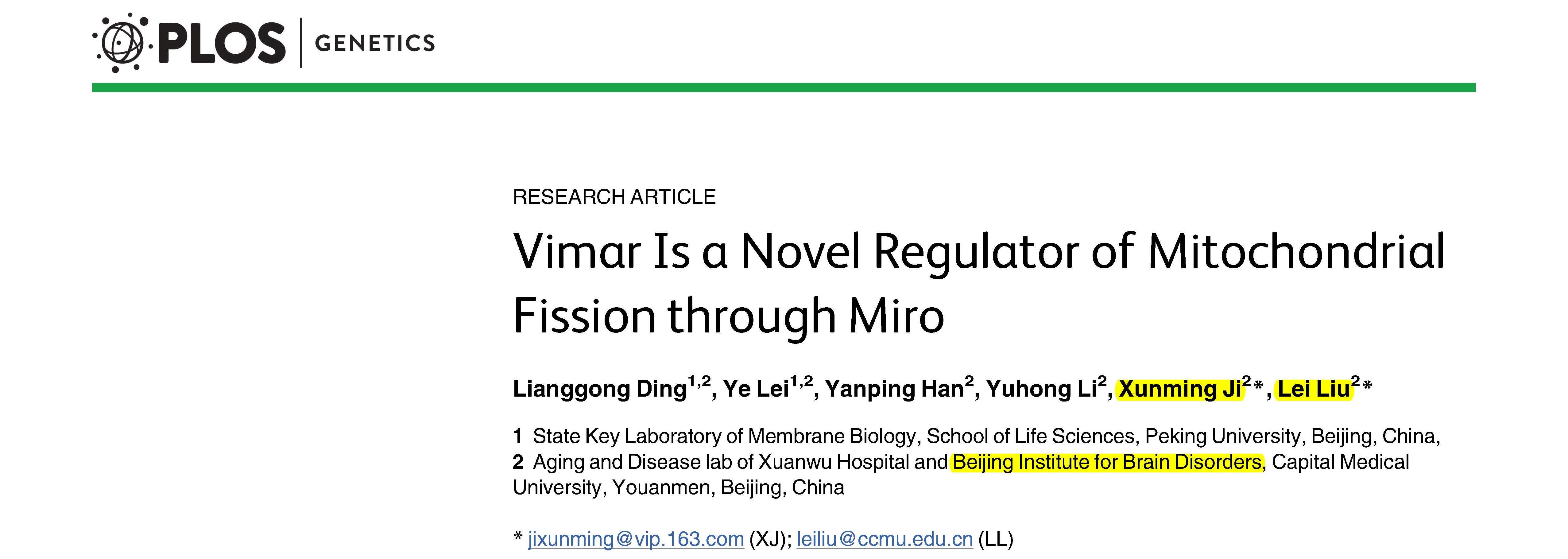 Ji XM, Liu L and et al.	Vimar is a novel regulator of mitochondrial fission through Miro.	
